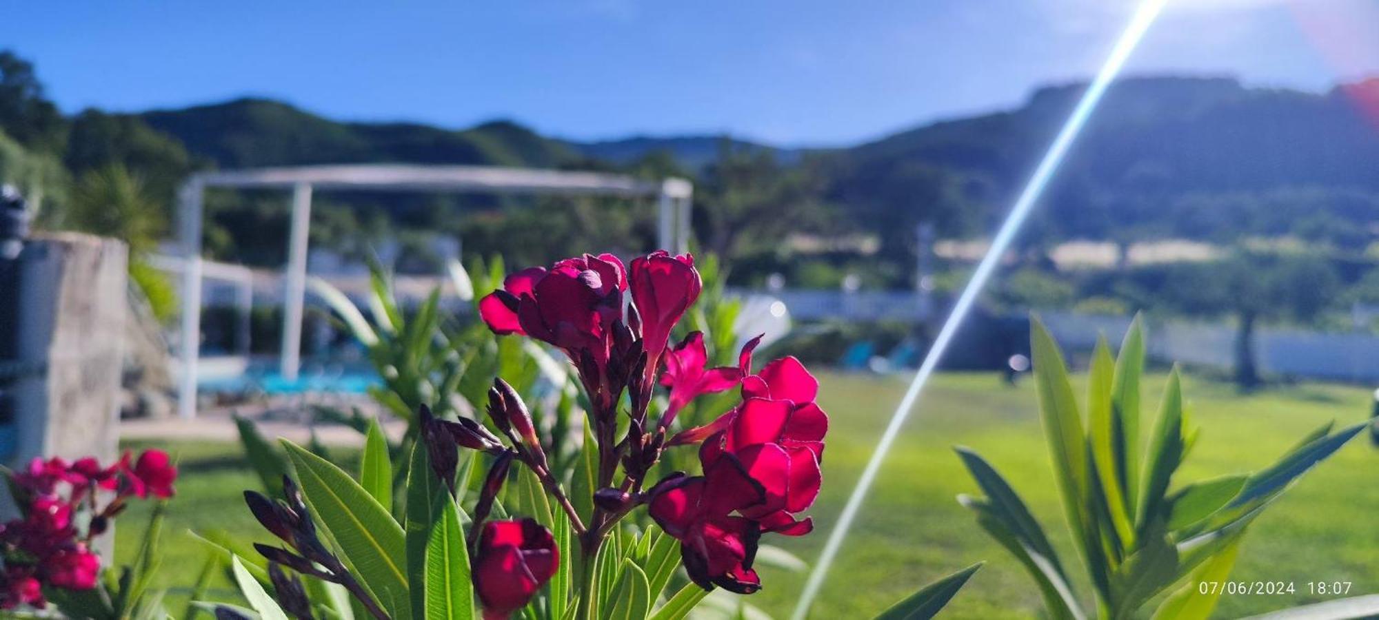 San Benedetto UllanoAgri Art别墅 外观 照片